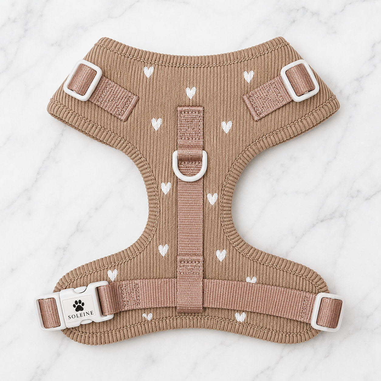 Cavapoo w szelkach Soleine Caramel Hearts przed kawiarnią z różami